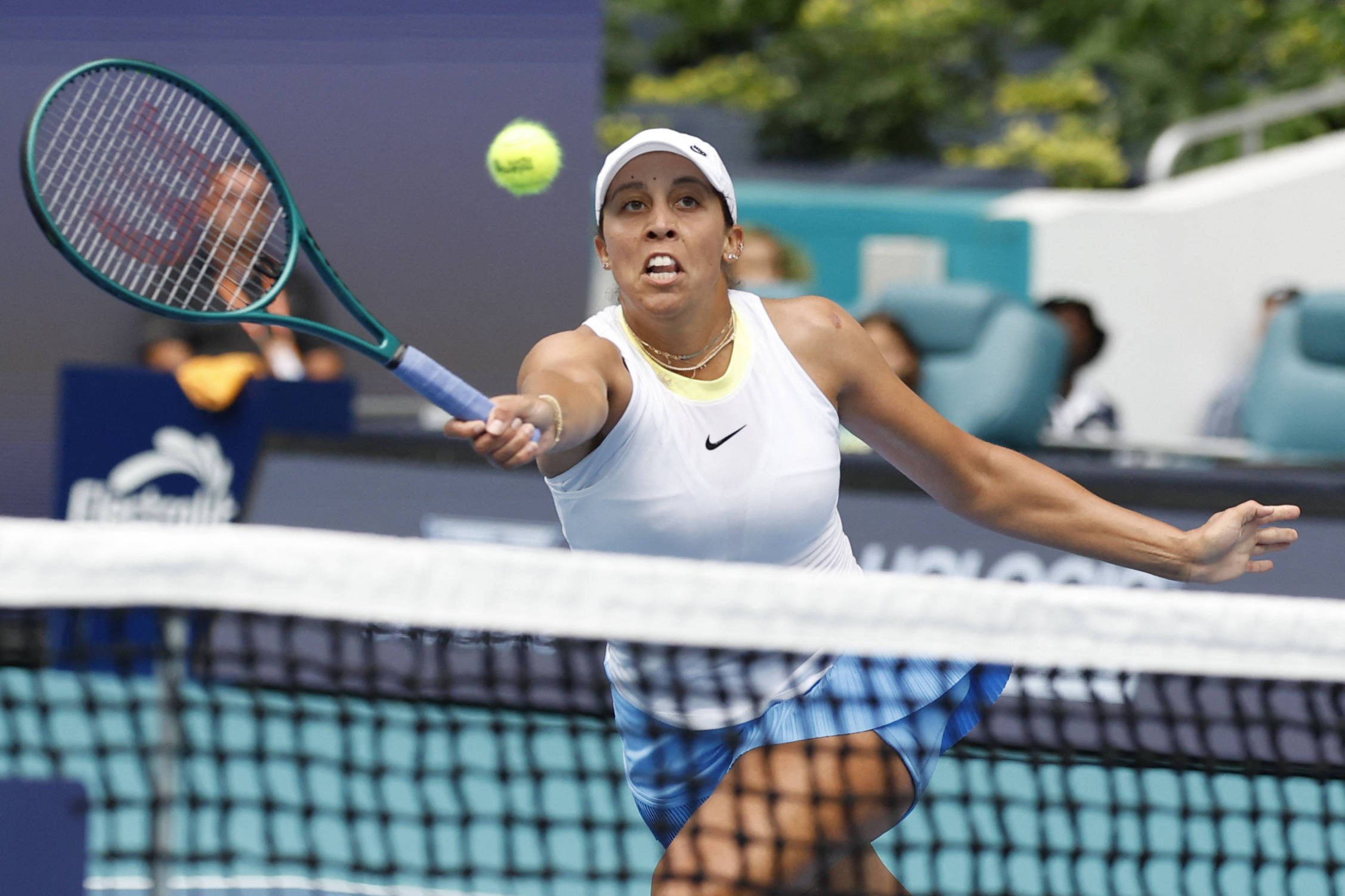 小波特以极 小波特以极