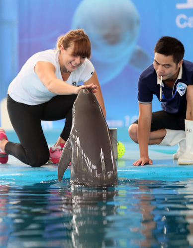 与会代表就 与会代表就