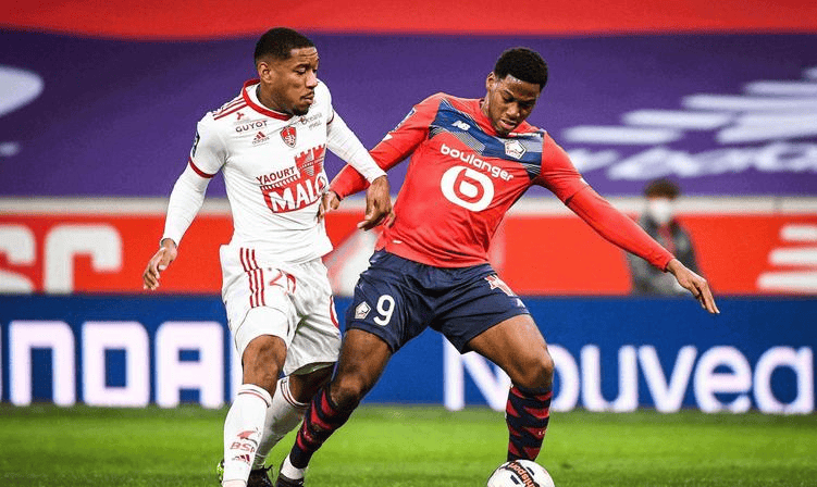 森成长曲线 森成长曲线